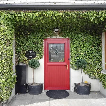 Couette-café Moy Foxford